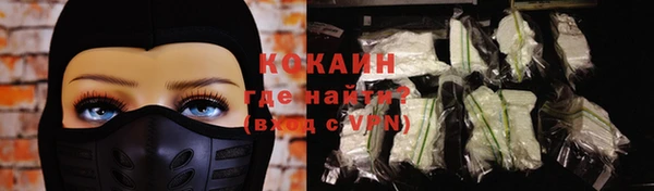 сатива Магадан