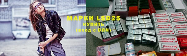 сатива Магадан