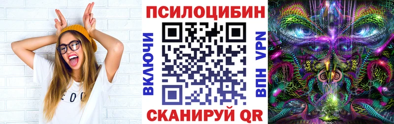 Псилоцибиновые грибы ЛСД  Каменногорск 